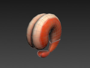 shrimp 3D Model