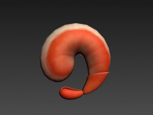 shrimp 3D Model