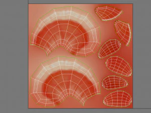 shrimp 3D Model