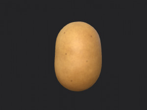potato Modello 3D