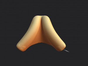 fortune cookie Modèle 3D