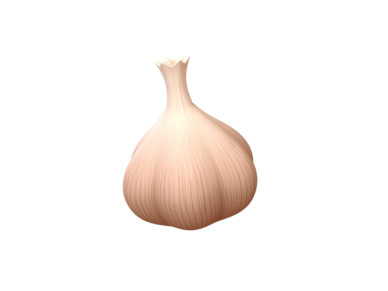 garlic 3D Model .c4d .max .obj .3ds .fbx .stl .blend 