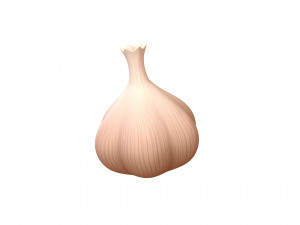 garlic Modelo 3D