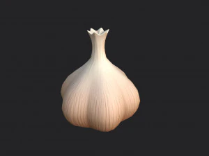 garlic 3D Model