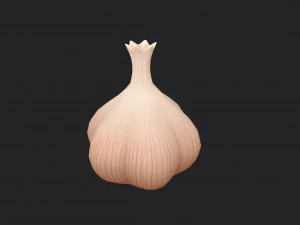 garlic 3D Model