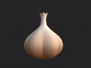 garlic 3D Model