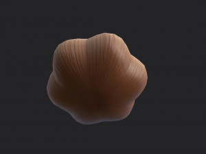 garlic 3D-Modell