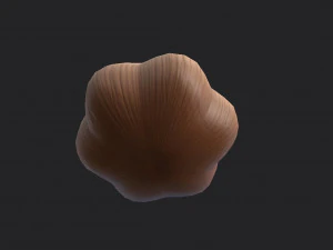 garlic 3D Model