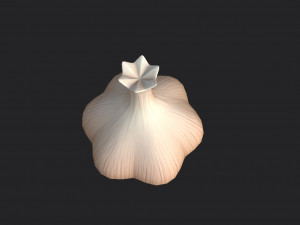 garlic 3D-Modell