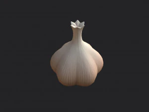 garlic 3D Model