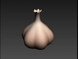 garlic 3D Model