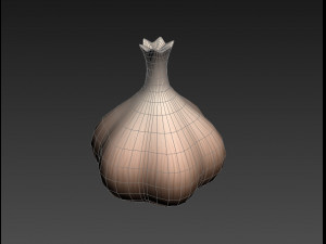 garlic 3D-Modell