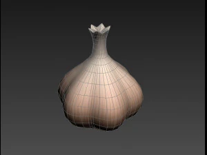 garlic 3D Model