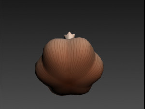 garlic 3D-Modell