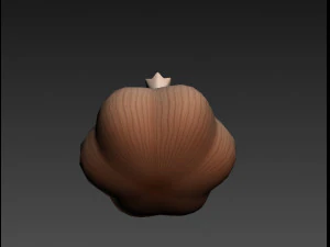 garlic 3D Model