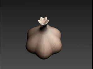 garlic 3D Model