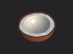 coconut Modelo 3D