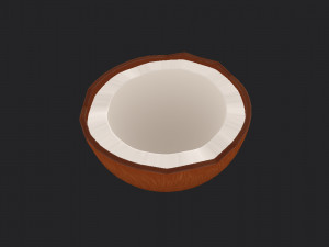 coconut Modelo 3D