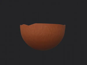 noce di cocco Modello 3D