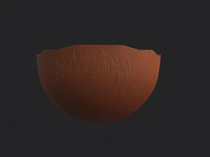 noce di cocco Modello 3D