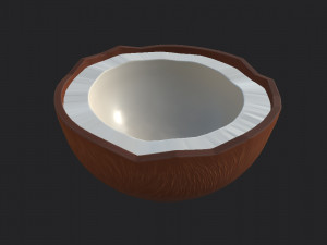 coconut Modelo 3D