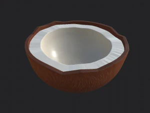 noce di cocco Modello 3D