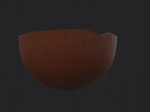 coconut Modelo 3D