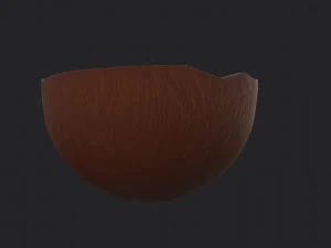 noce di cocco Modello 3D