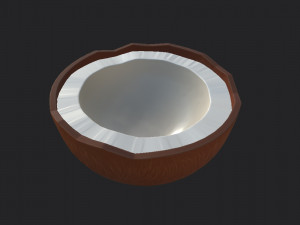 coconut Modelo 3D