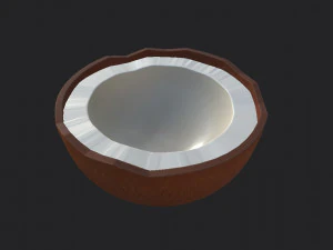 noce di cocco Modello 3D