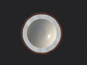 coconut Modelo 3D