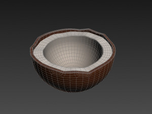 coconut Modelo 3D