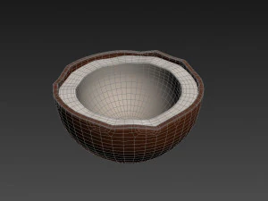 noce di cocco Modello 3D