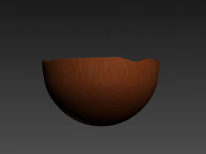 noce di cocco Modello 3D