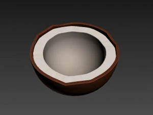 noce di cocco Modello 3D