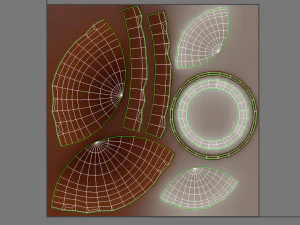 noce di cocco Modello 3D