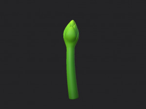 asparagus Modèle 3D