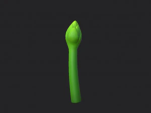 asparagus 3D Model