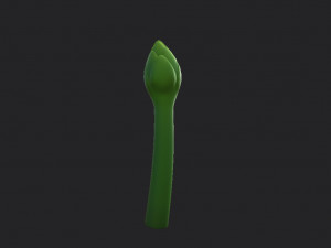 asparagus Modèle 3D
