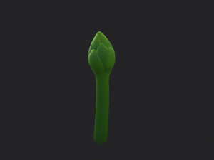 asparagus Modèle 3D