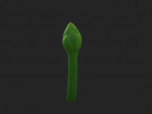 asparagus 3D Model