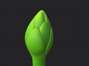 asparagus 3D Model