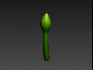 asparagus Modèle 3D