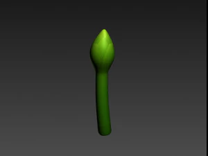 asparagus 3D Model