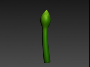 asparagus Modèle 3D