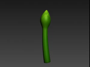 asparagus 3D Model