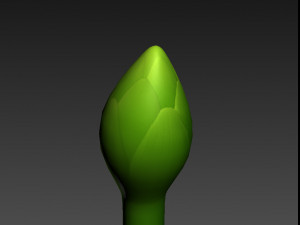 asparagus Modèle 3D