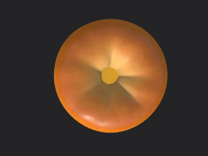 bagel Model 3D