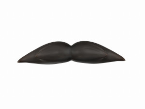 mustache Modèle 3D