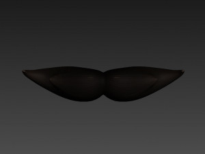 mustache Modèle 3D